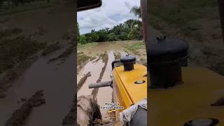 Pa lante mi llano 🚜🤠🇨🇴 agro viralvideo agriculturacolombiana colombia agricultura agriculture [upl. by Surtimed105]