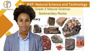 Grade 5 I Natural Science I Sedimentary Rocks [upl. by Earb502]