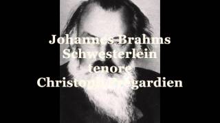 Brahms Johannes Schwesterlein tenore Christoph Prégardien [upl. by Saltzman]