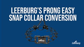 Leerburgs Small Prong Easy Snap Collar Conversion [upl. by Mahgem]