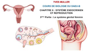 Chapitre 6  3ème Partie  Le système génital féminin  Cours de Biologie du DAEUB [upl. by Mckenzie]