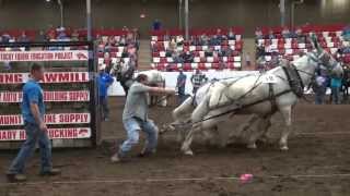 2013 BDHMC Mule Pull winning pull YT [upl. by Chee]