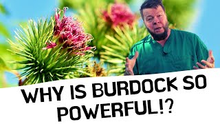 Burdock Cures EVERYTHING But Why [upl. by Tingley]