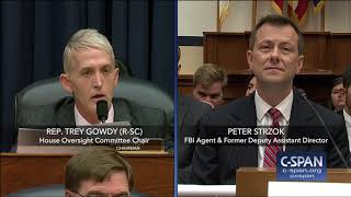 Complete exchange between Rep Trey Gowdy and FBI Deputy Assistant Director Peter Strzok [upl. by Barina775]