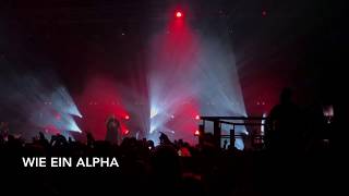 Kollegah Live Monument Tour King Löwe Du bist Boss Wie ein Alpha Alphagenetik John Gotti [upl. by Tybalt708]