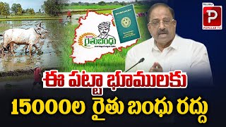 Tummala Nageswara Rao Big Shock To Telangana Farmers Over Rythu Bandhu Scheme  Telugu Popular TV [upl. by Philbrook]