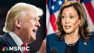 Republicans are defending the indefensible Harris campaign uses Trumps word against him in ad [upl. by Ylac]