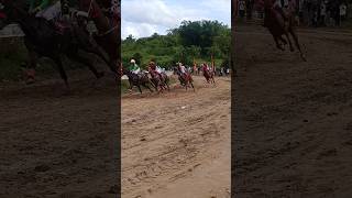 Horse Racing Bukittinggi 2024 Part 12 shorts [upl. by Dougall836]