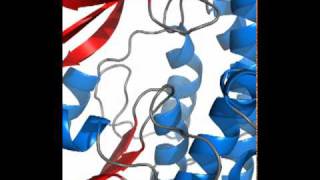 Active site of malonyl CoA  ACP transacylase MCAT [upl. by Anivid]