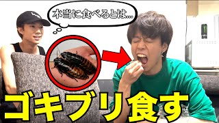 【検証】ゴキブリ食べないとクビと言ったら、裏方は食べるのか？ [upl. by Kenwee401]