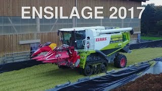 Ensilage 2017 Trois conditionnements différents FFrossard amp Fils [upl. by Aselehc978]