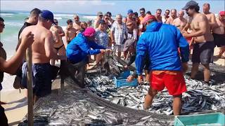 ARTE XÁVEGA PESCA DE ARRASTO PRAIA DA VIEIRA JULHO 2018 [upl. by Agnizn]