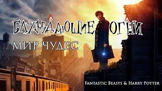 Блуждающие Огни — Мир чудес Fantastic Beasts amp Harry Potter [upl. by Custer865]