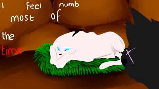 Cinderpelt Numb Warriors MV [upl. by Nnyleuqcaj32]