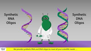 Custom oligonucleotide synthesis  30 years of experience  Dharmacon™ reagents [upl. by Nnairet904]