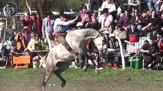 Jineteada en Clina en Estancia Los Naranjos en Hasenkamp Agosto 2023 Entre Rios [upl. by Etiuqram916]