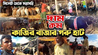 Kazir Bazar Sylhet Gorur Haat  সিলেট কোরবানির গরুর হাটে গরুর দাম কত  কাজির বাজার গরুর হাট 2023 [upl. by Proudlove]