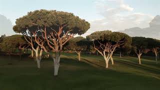 DOM PEDRO GOLF COURSES Vilamoura Algarve [upl. by Mandler]