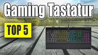 TOP 5 Beste GAMING TASTATUR 2024 [upl. by Ahsieken]