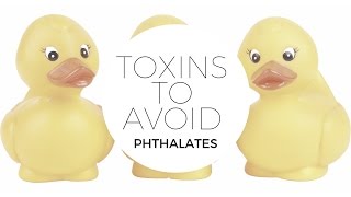 HEALTH  Toxins to Avoid 2 Phthalates What They Are and How to Avoid Them [upl. by Nabois]