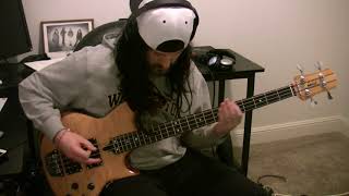 TOOL Rosetta Stoned Bass Cover 2020 HD [upl. by Atirehs602]