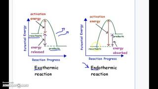 Endothermic Vs Exothermic Reaction Graphs [upl. by Roxane599]