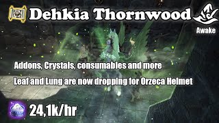 BDO  Dehkia Thornwood  LeafsLung now drops  Awake Witch 241khr [upl. by Pinzler780]