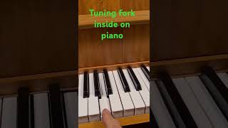 Tuning fork inside on Schimmel piano [upl. by Eillak182]