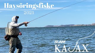 Havsöringsfiske på Västkusten  Flugfiske 2021 Team Kajax [upl. by Wilterdink]