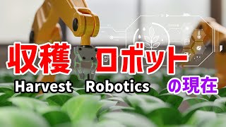 Harvest Robotics【収穫ロボット】inaho、デンソーアグリテックソリューションズの取り組みをご紹介 [upl. by Aieka]