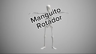 Manguito Rotador [upl. by Vickey313]