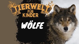 Folge 5 Wölfe  Tierwelt für Kinder  Lernvideo auf Deutsch [upl. by Kathryn]