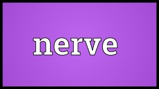 Nerve Meaning [upl. by Terraj]