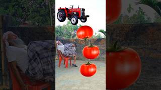 Rounding tomatos to Alto Rollar Jcb amp Tractor  Vehicles names magic video [upl. by Aidekal]