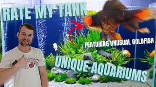 CHECKOUT these Goldfish aquariums  Rate my goldfish tank [upl. by Bonnice]