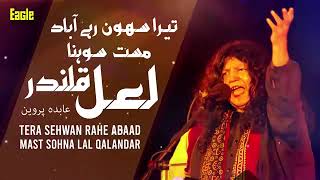 TERA SEHWAN RAHE ABAAD MAST SOHNA LAL QALANDAR [upl. by Loydie455]