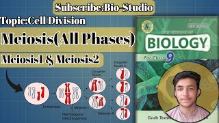 MeiosisMeiosis1 amp Meiosis2Cell divisionLecture in Urdu And HindiBioStudioLecture 2Class 9 [upl. by Silbahc599]