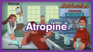 Pharmacology 110 b Atropine hyoscine scopolamine ipratropium bromide tropicamide benzhexol [upl. by Hallutama200]