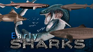 Prehistoric SHARKS and those from the Abyss [upl. by Ardied133]