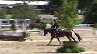 Video of JUST ONE YESTERDAY ridden by NICK HANESS from ShowNet [upl. by Nairadal]