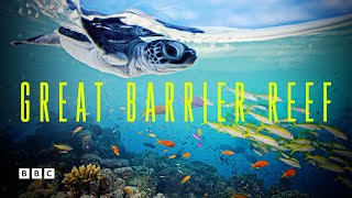 Great Barrier Reef  BBC Select [upl. by Laeynad525]