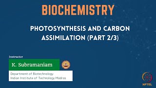 Photosynthesis and Carbon Assimilation Part 23 [upl. by Vieva]