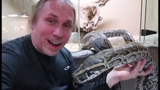 THE LARGEST SNAKE IN AFRICA VENOMOUS SNAKES W CHEWY  BRIAN BARCZYK [upl. by Aicatsanna]