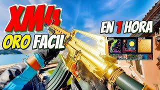 COMO SUBIR ARMAS Y SACAR ORO FACIL EN CALL OF DUTY BLACK OPS 6 [upl. by Imim751]