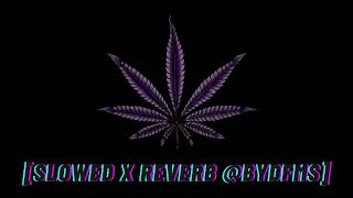 sé que no toleras wisin amp yandel slowed x reverb byDFMS Greyskull Abusando [upl. by Rod]