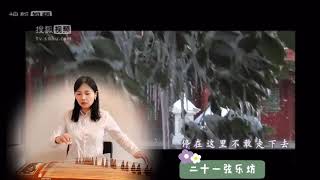 Guzheng｜Three inches of heaven 步步惊心三寸天堂 [upl. by Antone]