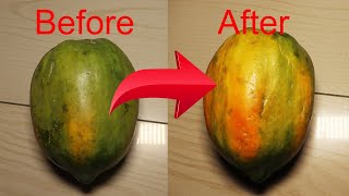 How to Ripen Papaya at Home [upl. by Gona]