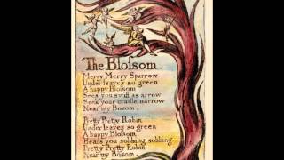 William Blake Songs of Innocence and Experience [upl. by Weinstein]