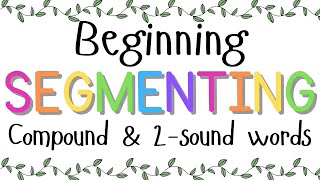 Beginning Segmenting Phonemic Awareness [upl. by Eedyaj487]