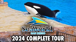 SeaWorld San Diego Tour 2024  Rides Shows Animal Exhibits and Walkthrough 4K POV [upl. by Rosenberg]